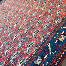 1950 ABADEH RUG 5’ x 6’ 9” (MED#30)