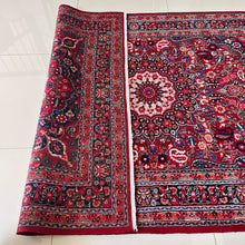 1970 BIRJAND RUG 4’ 4” x 6’ 9” (MED.FEA.320)